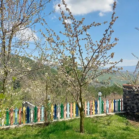 Apartment Nature View Private House With Garden In Osmangazi Bursa