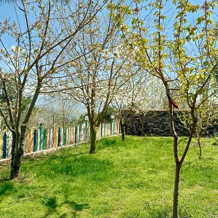 Nature View Private House With Garden In Osmangazi Apartment Bursa